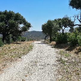 Área de Serviço de Alferce Área de Serviço de Alferce