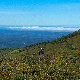 Área de Serviço de Marmelete Área de Serviço de Marmelete